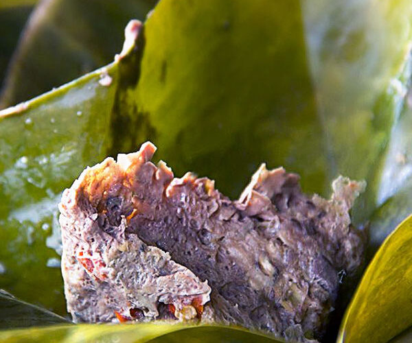 [Aggregator] Downloaded image for imported item #15